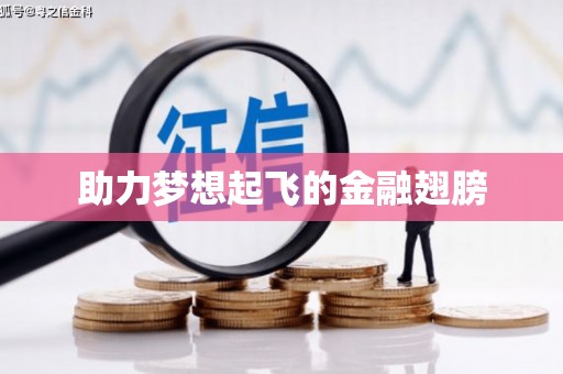 太和助力梦想起飞的金融翅膀