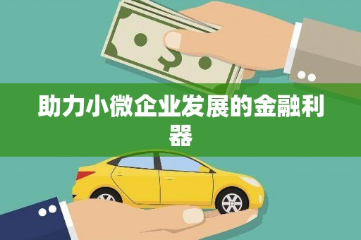 太和助力小微企业发展的金融利器