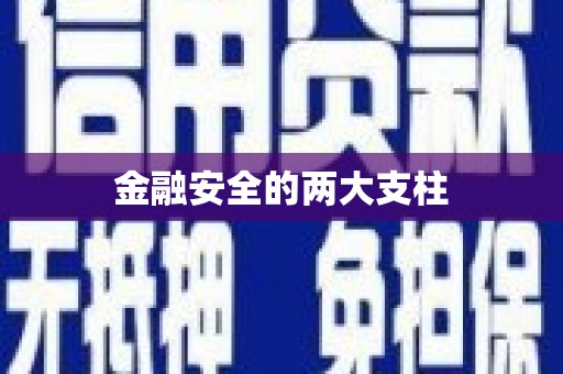 太和金融安全的两大支柱