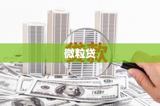 太和微粒贷
