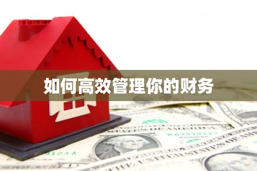 太和如何高效管理你的财务