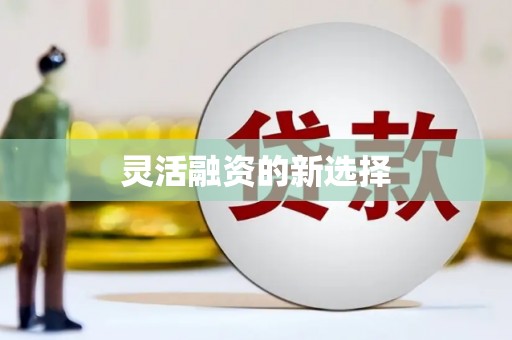 太和灵活融资的新选择
