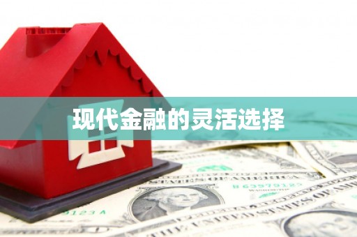 太和现代金融的灵活选择