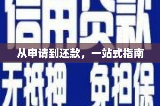 太和从申请到还款，一站式指南