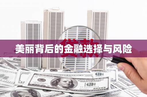 太和美丽背后的金融选择与风险