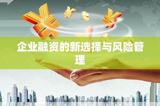 太和企业融资的新选择与风险管理