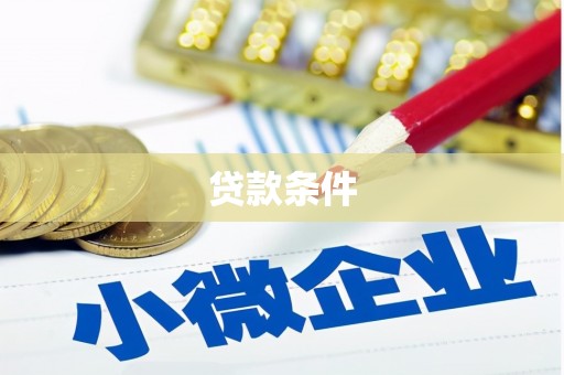 太和贷款条件
