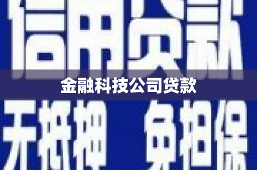 太和金融科技公司贷款