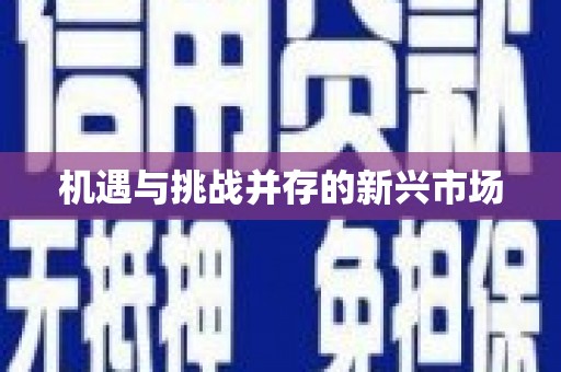 太和机遇与挑战并存的新兴市场