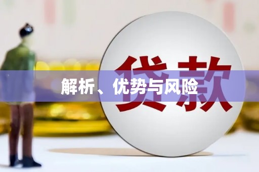 太和解析、优势与风险