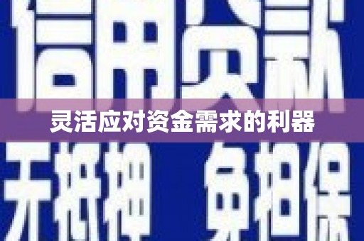 太和灵活应对资金需求的利器