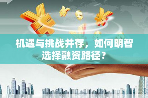 太和机遇与挑战并存，如何明智选择融资路径？