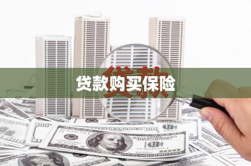 太和贷款购买保险