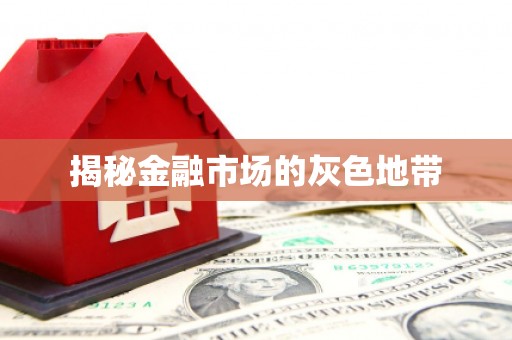 太和揭秘金融市场的灰色地带