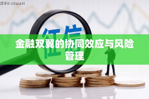 太和金融双翼的协同效应与风险管理