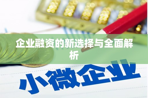 太和企业融资的新选择与全面解析