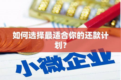 太和如何选择最适合你的还款计划？