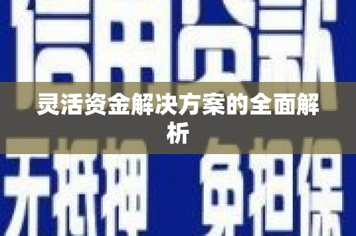 太和灵活资金解决方案的全面解析