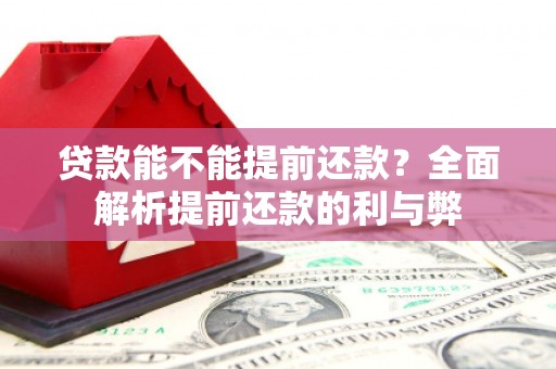 太和贷款能不能提前还款？全面解析提前还款的利与弊