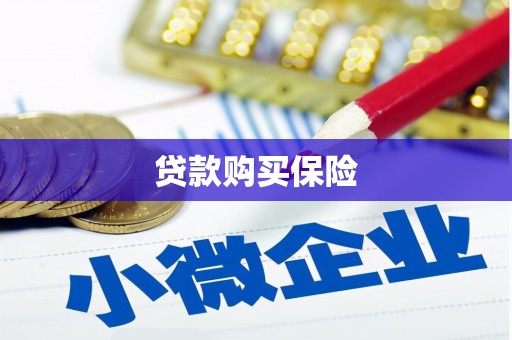 太和贷款购买保险