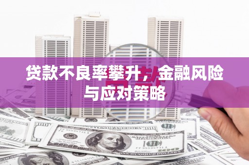 太和贷款不良率攀升，金融风险与应对策略