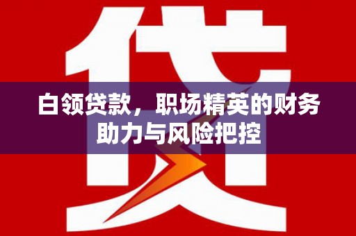 太和白领贷款，职场精英的财务助力与风险把控