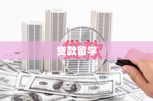 太和贷款留学