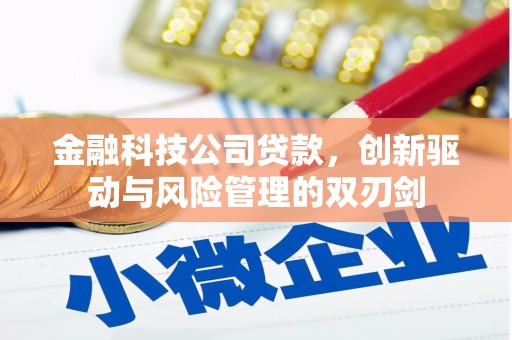 太和金融科技公司贷款，创新驱动与风险管理的双刃剑