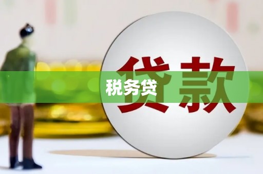 太和税务贷